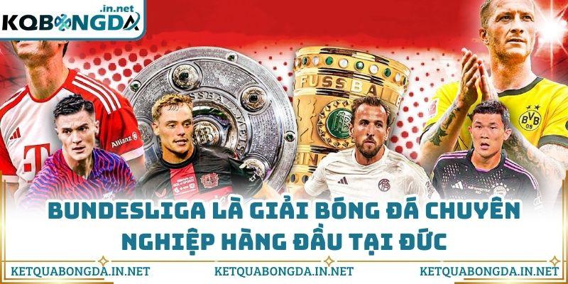Bundesliga là giải bóng đá chuyên nghiệp hàng đầu tại Đức