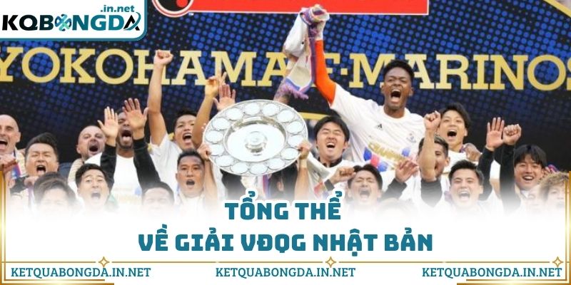 Tổng thể về giải VĐQG Nhật Bản
